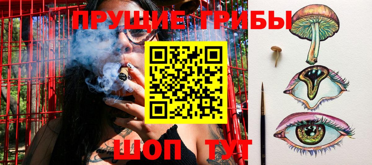 Галлюциногенные грибы ЛСД  Вход с VPN  Сердобск 
