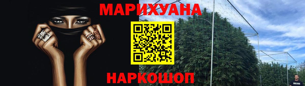 Канабис план Сердобск